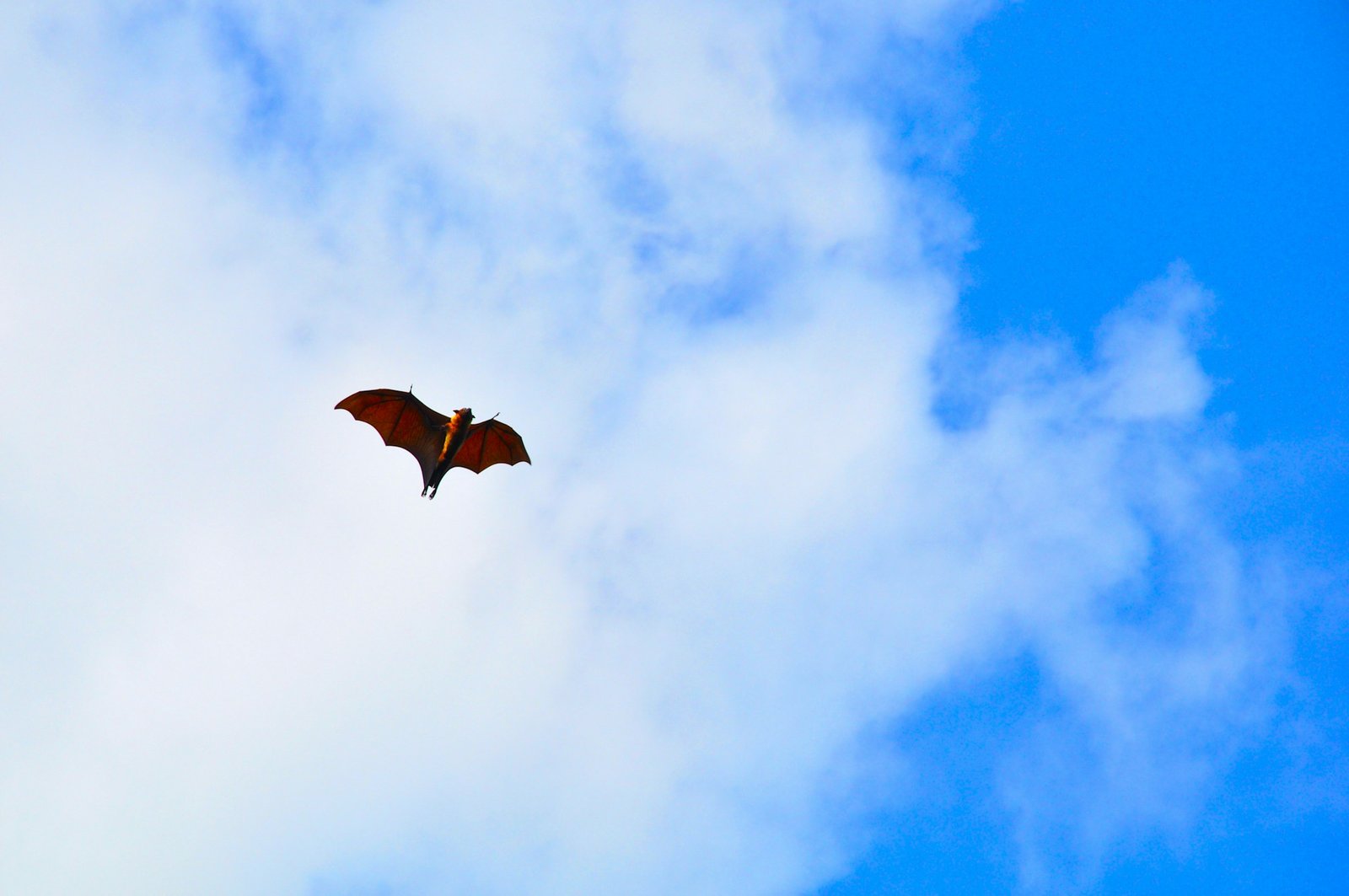 georgy-trofimov-kU0YrqfPmmE-unsplash georgy-trofimov-kU0YrqfPmmE-unsplash