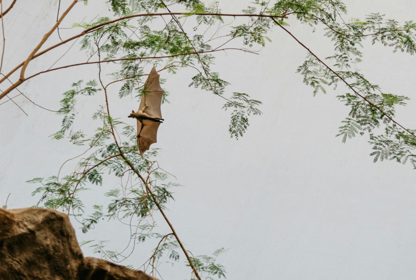 kelly-sikkema-liIFVgjhuSE-unsplash kelly-sikkema-liIFVgjhuSE-unsplash
