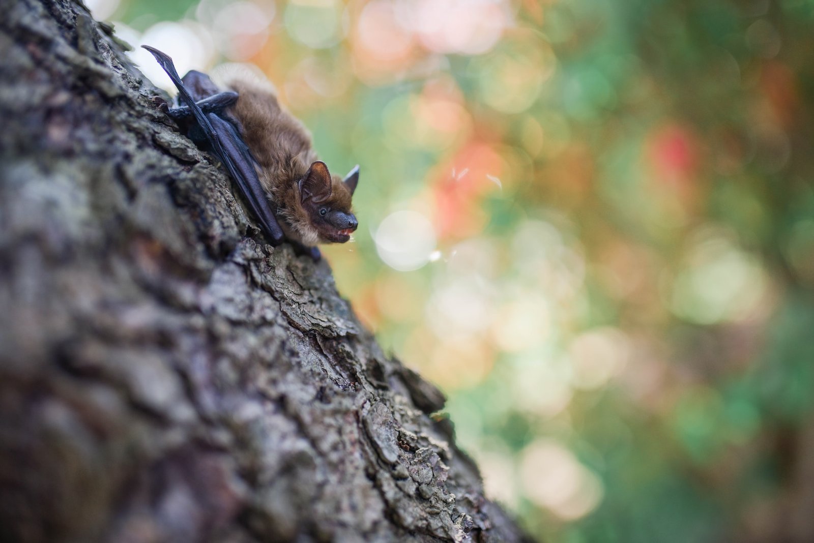 paige-cody-Vsg0AP7UMCQ-unsplash paige-cody-Vsg0AP7UMCQ-unsplash