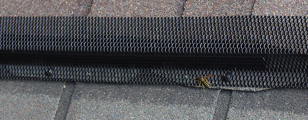 Ridge-Guard-Wasp-Exclusion